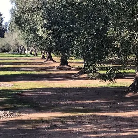 Masseria Campone Green - Casa Frida - * Melendugno